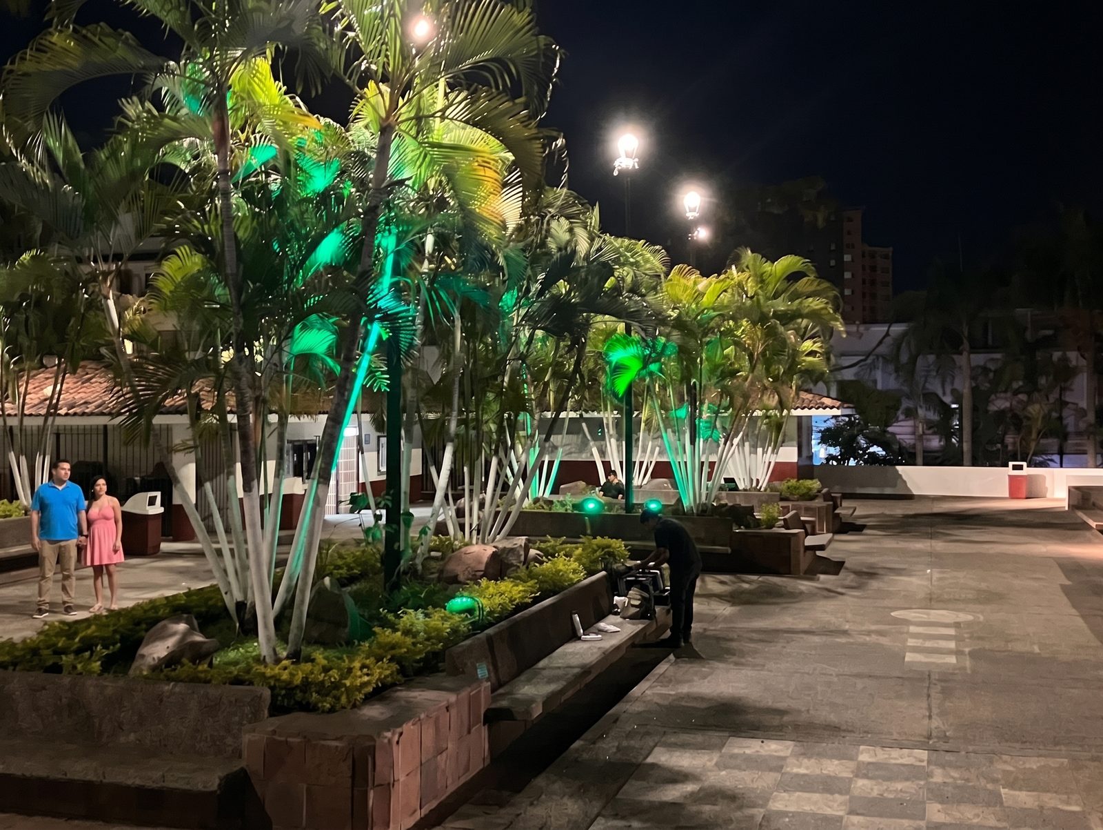 Commercial landscape lighting with green color accent uplights on palm trees at night